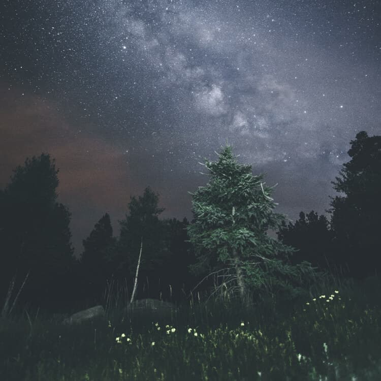 <div class="mp_wrapper">
  <div class="mepr-login-form-wrap">
        <span class="mepr-login-link"><a href="https://staging.eatburnsleep.com/login/">Login</a></span>
      </div>
</div>

